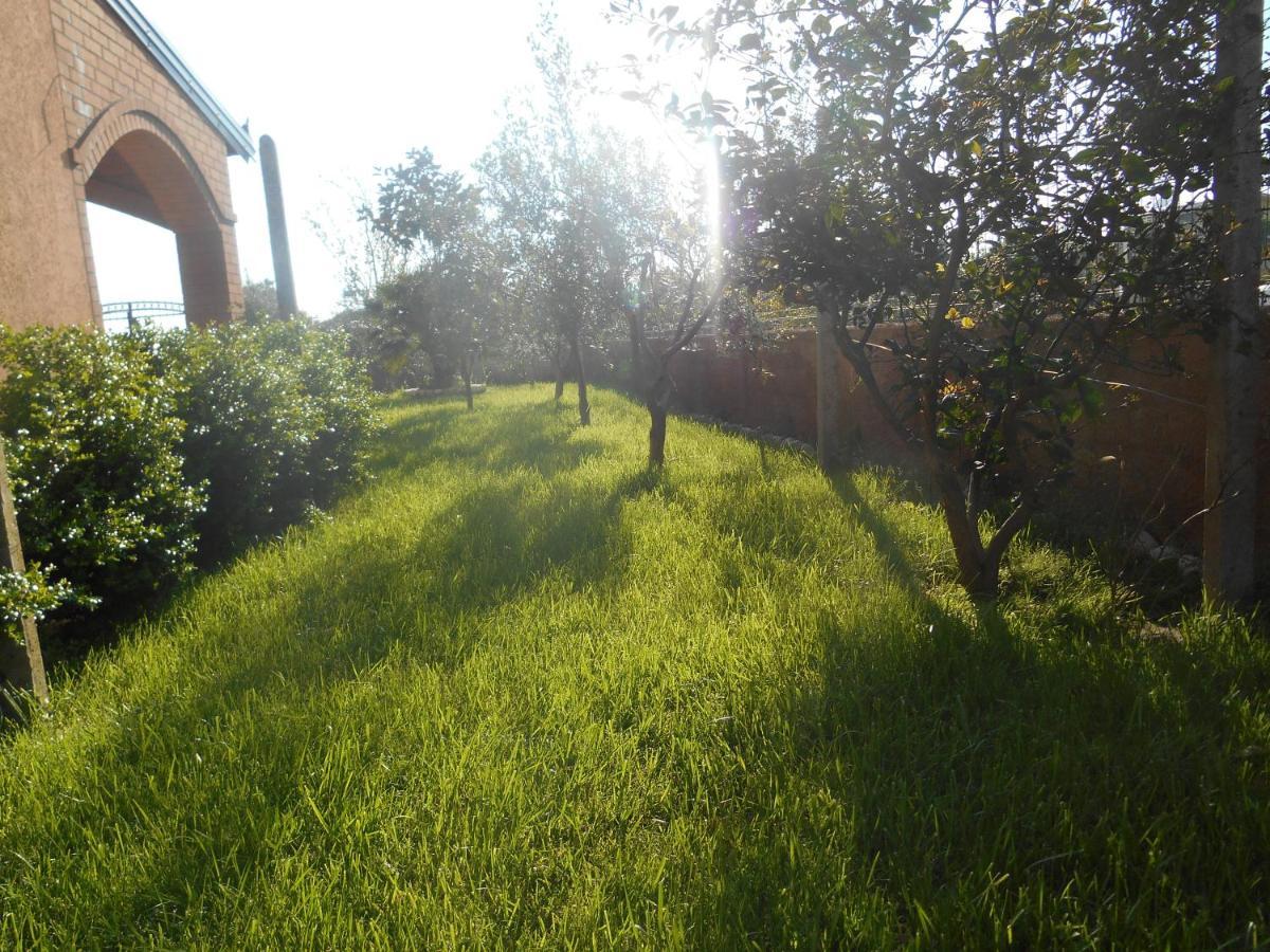 The Garden Guest House ดิวิยาเกอ ภายนอก รูปภาพ
