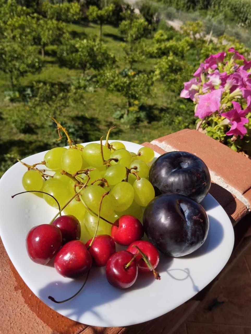 The Garden Guest House ดิวิยาเกอ ภายนอก รูปภาพ